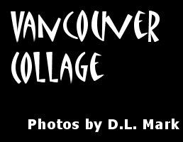 Vancouver Collage (Vancouver, Washington, USA, that is)